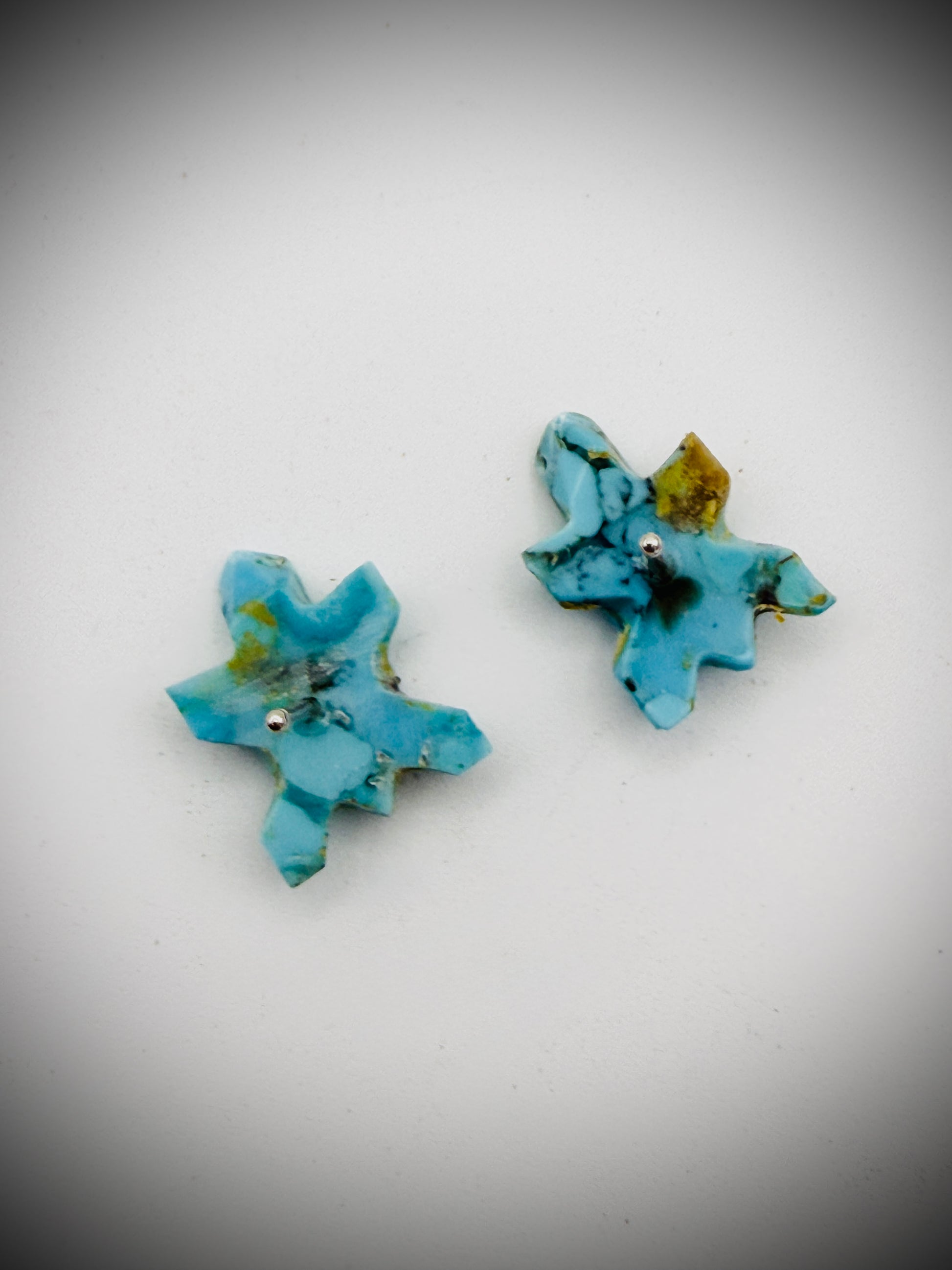 Carved Turquoise Turtle Stud Earrings .5"