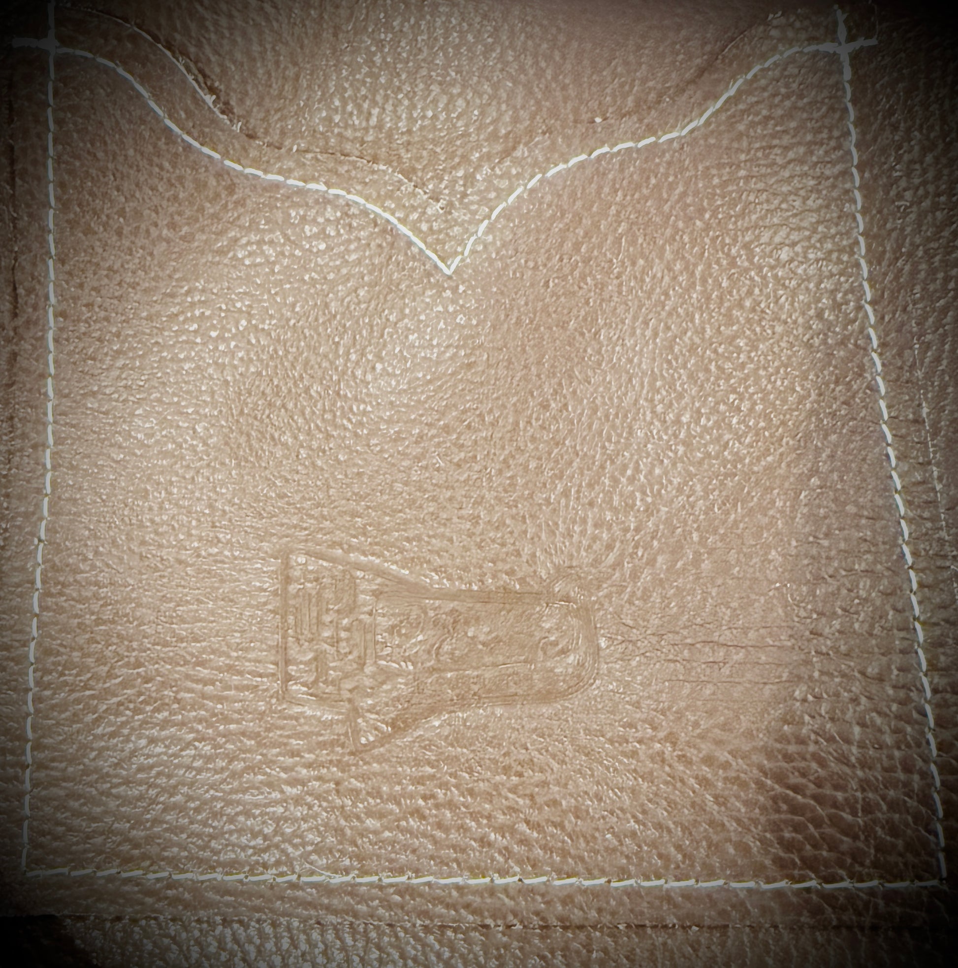 DCD “Shania” Tricolor Cowhide + Buffalo Skull Leather Crossbody | NWOT